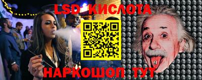 шишки Михайловск